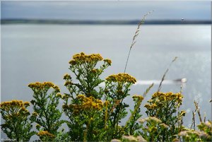 014 - Irland - 2017.jpg