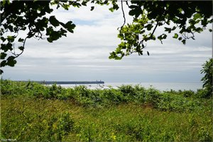 015 - Irland - 2017.jpg