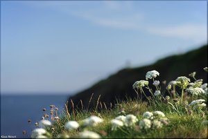 026 - Irland - 2017.jpg