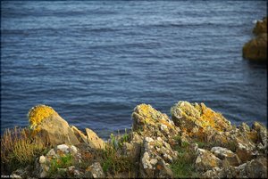 031 - Irland - 2017.jpg