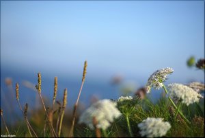 033 - Irland - 2017.jpg