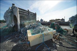 037 - Irland - 2017.jpg