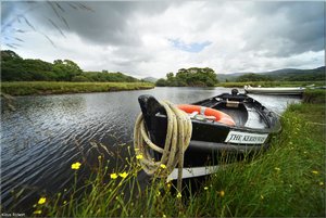 237 - Irland - 2017.jpg