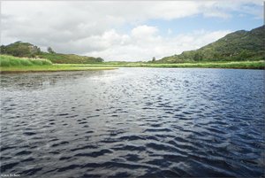 266 - Irland - 2017.jpg