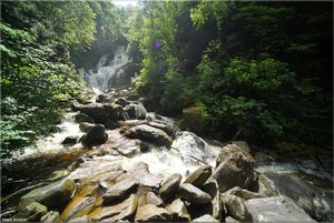 325 - Irland - 2017.jpg