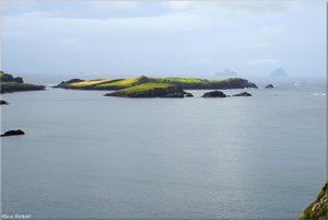 375 - Irland - 2017.jpg