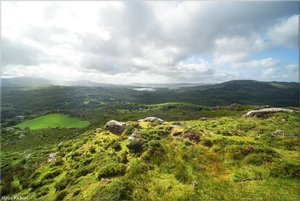 411 - Irland - 2017.jpg