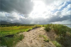 463 - Irland - 2017.jpg