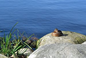 Bad Zwischenahn12.jpg