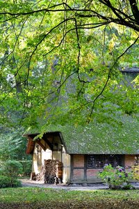 Bad Zwischenahn44.jpg