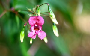 Bad Zwischenahn48.jpg