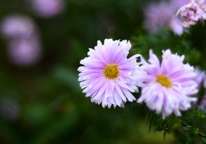 Bad Zwischenahn53.jpg