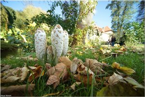 023 - Schloss Struenkede - 2017.jpg