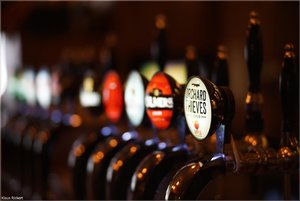 172 - Irland - 2017.jpg