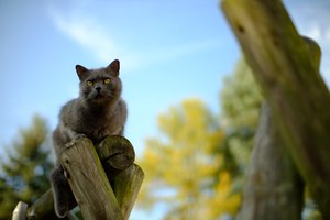 XT1D6199_bf_web.jpg XT1D6199_bf_web.jpg