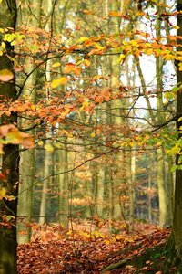 Hesel4_01.jpg Hesel4_01.jpg