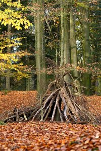 Hesel5_01.jpg Hesel5_01.jpg