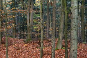 Hesel12_01.jpg Hesel12_01.jpg