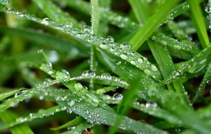 Hesel15_01.jpg Hesel15_01.jpg