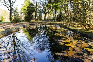 17.Nov. 2017 (3).jpg