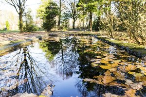 17.Nov. 2017 (4).jpg