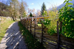 AHT_0042.jpg AHT_0042.jpg