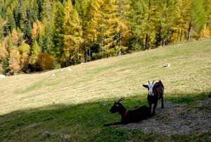 AHT_0132.jpg AHT_0132.jpg