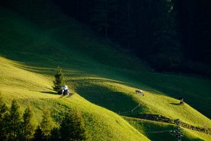 AHT_0505.jpg AHT_0505.jpg