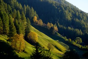 AHT_0508.jpg AHT_0508.jpg