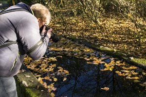 17.Nov. 2017 (2).jpg 17.Nov. 2017 (2).jpg