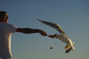 Bild - 5.JPG Bild - 5.JPG