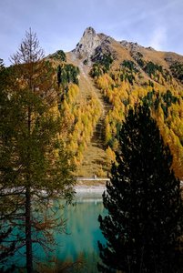 AHT_0909.jpg AHT_0909.jpg