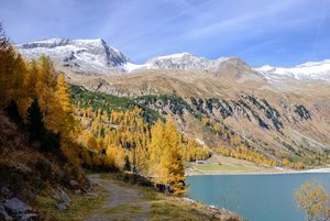 AHT_0915.jpg AHT_0915.jpg