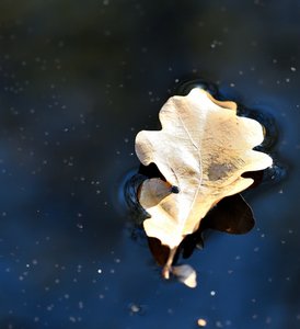 Nass24.jpg Nass24.jpg