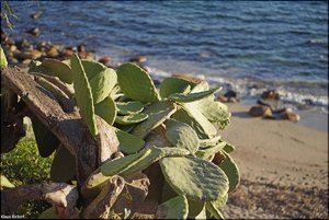 050 - Sardinien - 2017.jpg