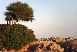 064 - Sardinien - 2017.jpg