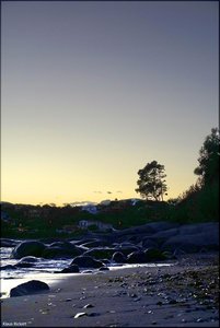 023 - Sardinien - 2017.jpg