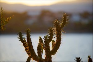 066 - Sardinien - 2017.jpg