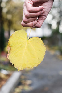 für Fotoforum-3.jpg