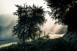 für Fotoforum-4.jpg