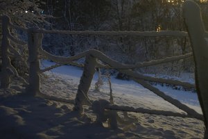 Forum DSC06076cr Nex5r + CZJ Flektogon Zebra 2,8 35mm ©PPf.jpg