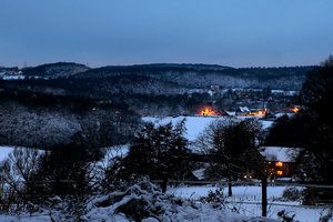 Forum DSC06072cr Nex5r + CZJ Flektogon Zebra 2,8 35mm ©PPbf.jpg