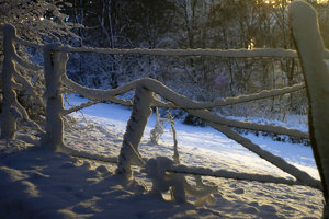 Forum DSC06076cr Nex5r + CZJ Flektogon Zebra 2,8 35mm ©PPbf.jpg