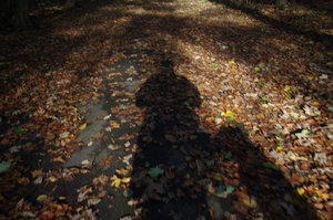 Herdecke Schattenspiel.jpg