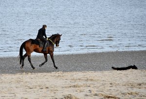 Schillig 1714.jpg Schillig 1714.jpg