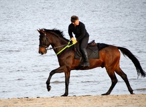 Schillig 1717.jpg Schillig 1717.jpg