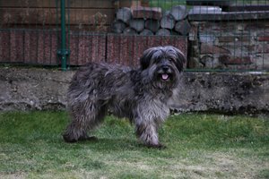 comp_Suchplakat 'Ethan'.jpg