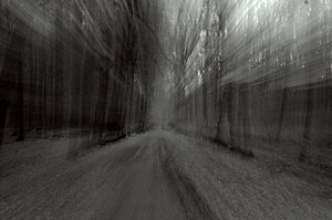 Der rasende Wald Froum.jpg