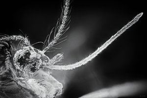 500k_2018-01-02-21.43.51 ZS PMax-SW.jpg 500k_2018-01-02-21.43.51 ZS PMax-SW.jpg