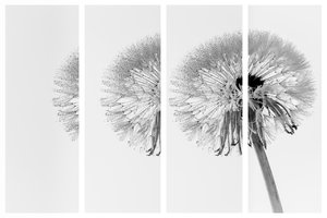 fürs  Fotoforum-3.JPG